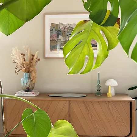 In Apartment